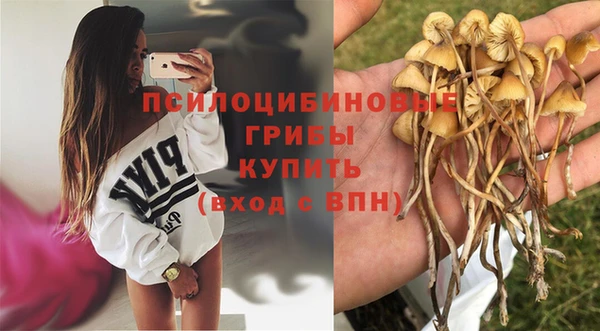 кристаллы Белокуриха